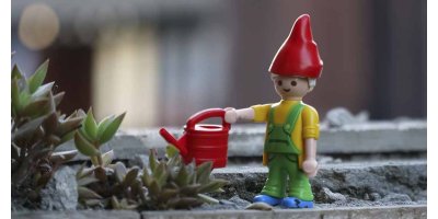 Kan du drukne dine planter?