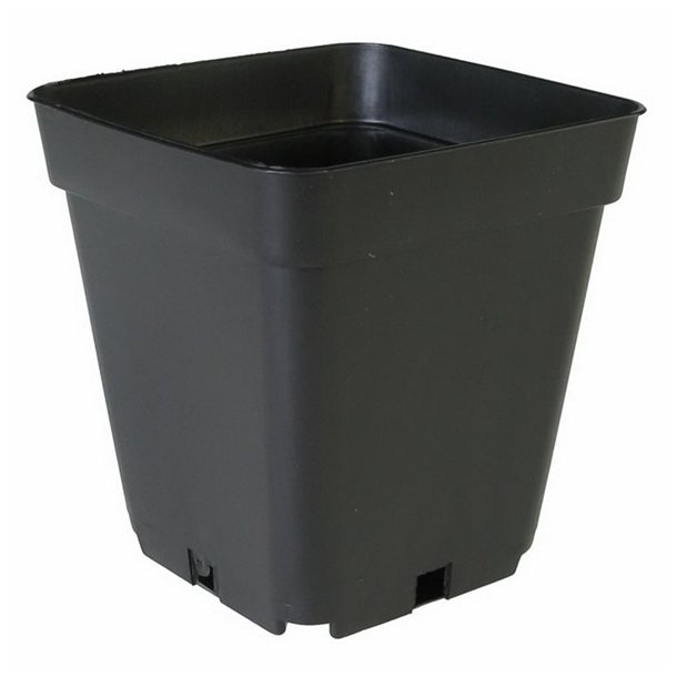 Firkantet plast potte (TEKU) 0,69 L  - 10 x 10 x 11