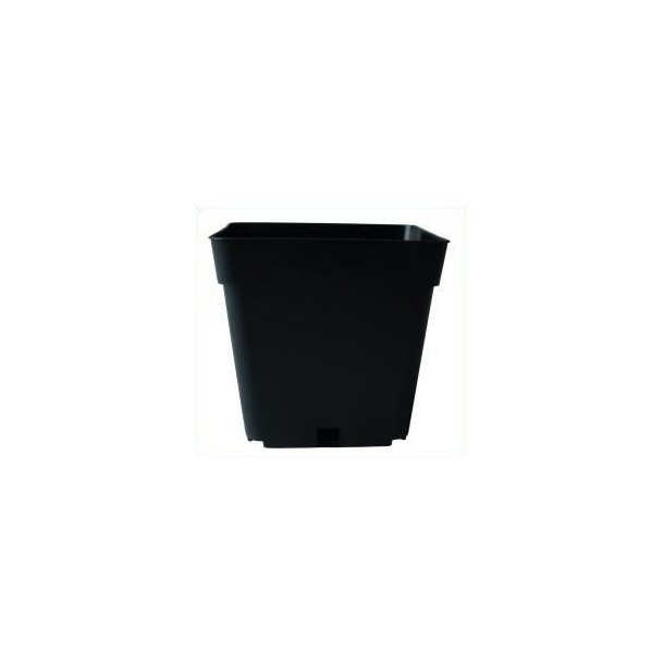 Firkantet plast potte 1,55 L (TEKU) - 13 x 13 x 13 cm