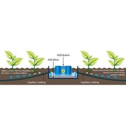 Aquabox Spyder - 6mm