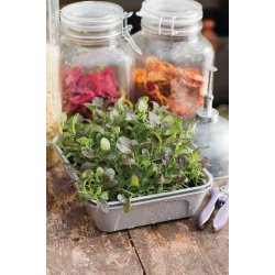 Drivhus Til MikroGrnt