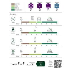 Basilikum, "Loki" - Organic (Udlber 09-2025)