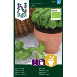 Basilikum, "Loki" - Organic (Udlber 09-2025)