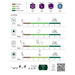 Dild, Blad- "Teddy" (Udlber 09-2025)