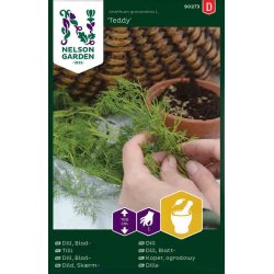 Dild, Blad- "Teddy" (Udlber 09-2025)