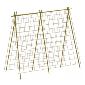 Bionedbrydeligt Plantenet - Natural