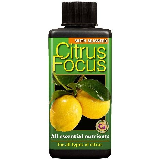 Citrus Focus 100 ml