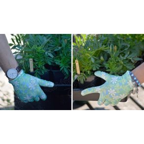 Have Handsker - Nemo Grn 