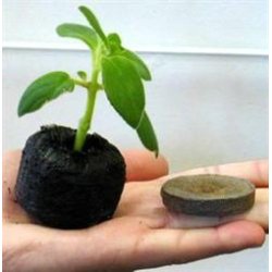 Jiffy 7 Trvebriketter i 44 mm, 1 stk