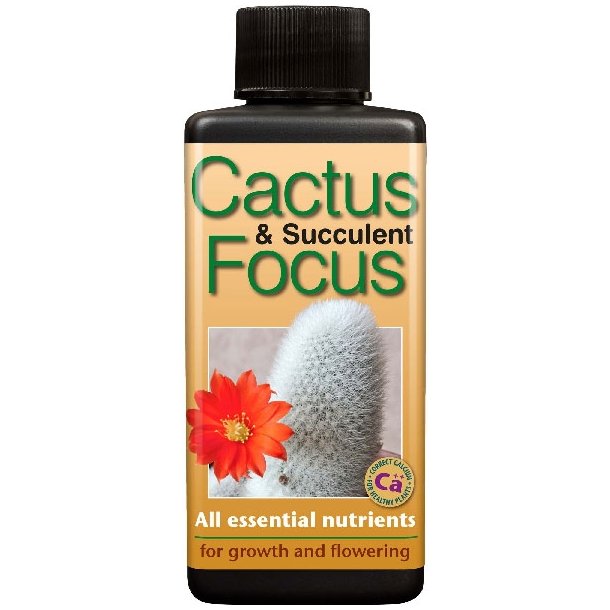 Kaktus & Sukkulent Focus 300 ml
