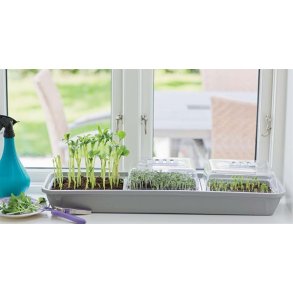 Drivhus til MikroGrnt 3 rum