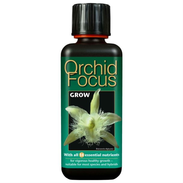 Orchid Focus Grow 300 ml