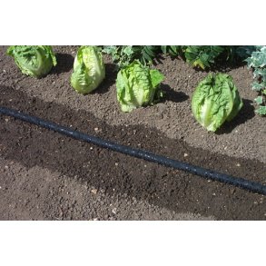 Siveslange 6 mm, 1 m.