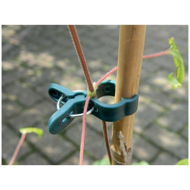 Plante clips, small, grn - 5 stk