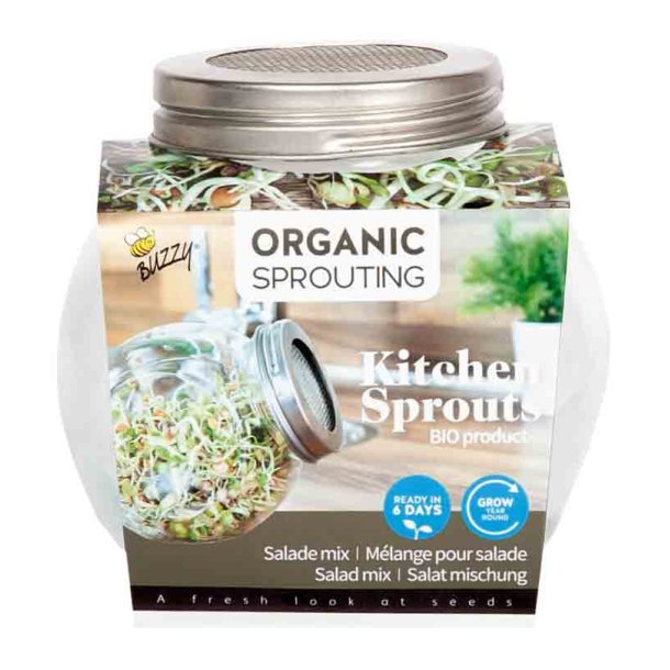 Spireglas m/ Salat mix